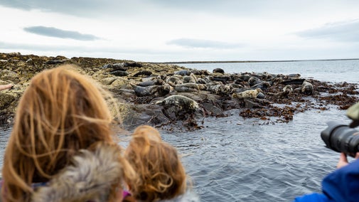 Visitors watching grey seals from the boat on the Farne Islands, Northumberland 1434170